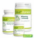 Dolvit JUNIOR witaminowo-mineralny suplement diety dla szczeniąt i młodych psów 90 tab